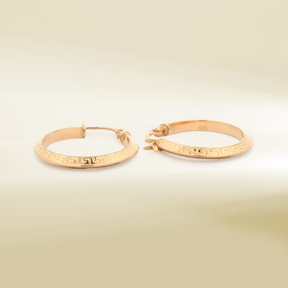 18K Yellow Gold Brand-Inspired Hoop Design Earrings - Image 3